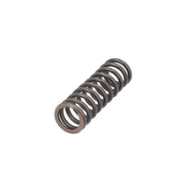 Load image into Gallery viewer, Valve Spring Fits Scania P G L R S Serie OE 2826689 Febi 187753