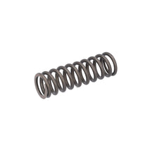 Load image into Gallery viewer, Valve Spring Fits Scania P G L R S Serie OE 2826689 Febi 187753