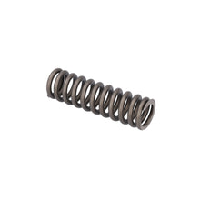 Load image into Gallery viewer, Valve Spring Fits Scania P G L R S Serie OE 2769870 Febi 187754