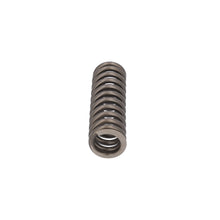 Load image into Gallery viewer, Valve Spring Fits Scania P G L R S Serie OE 2769870 Febi 187754
