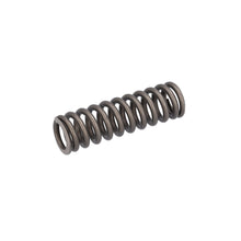 Load image into Gallery viewer, Valve Spring Fits Scania P G L R S Serie OE 2769870 Febi 187754