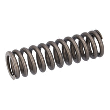 Load image into Gallery viewer, Valve Spring Fits Scania P G L R S Serie OE 2769870 Febi 187754