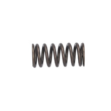 Load image into Gallery viewer, Valve Spring Fits Volvo Renault Trucks B5LH B8R FE FL3 OE 21757071 Febi 187755