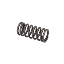 Load image into Gallery viewer, Valve Spring Fits Volvo Renault Trucks B5LH B8R FE FL3 OE 21757071 Febi 187755