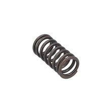 Load image into Gallery viewer, Valve Spring Fits Volvo Renault Trucks B5LH B8R FE FL3 OE 21757071 Febi 187755