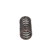 Load image into Gallery viewer, Valve Spring Fits Volvo Renault Trucks B5LH B8R FE FL3 OE 21757071 Febi 187755