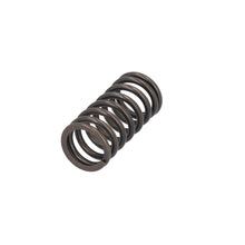 Load image into Gallery viewer, Valve Spring Fits Volvo Renault Trucks B5LH B8R FE FL3 OE 21757071 Febi 187755