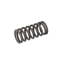 Load image into Gallery viewer, Valve Spring Fits Volvo Renault Trucks B5LH B8R FE FL3 OE 21757071 Febi 187755