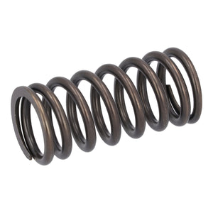 Valve Spring Fits Volvo Renault Trucks B5LH B8R FE FL3 OE 21757071 Febi 187755