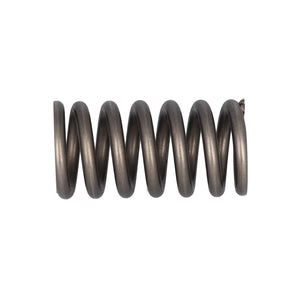 Valve Spring Fits Volvo Trucks FH FH4 OE 22527820 Febi 187756