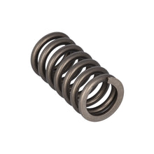 Load image into Gallery viewer, Valve Spring Fits Volvo Trucks FH FH4 OE 22527820 Febi 187756