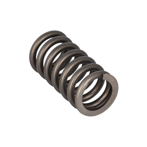 Valve Spring Fits Volvo Trucks FH FH4 OE 22527820 Febi 187756