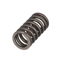 Load image into Gallery viewer, Valve Spring Fits Volvo Trucks FH FH4 OE 22527820 Febi 187756