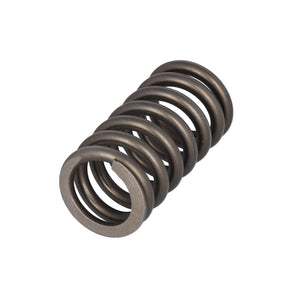 Valve Spring Fits Volvo Trucks FH FH4 OE 22527820 Febi 187756