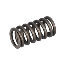 Load image into Gallery viewer, Valve Spring Fits Volvo Trucks FH FH4 OE 22527820 Febi 187756
