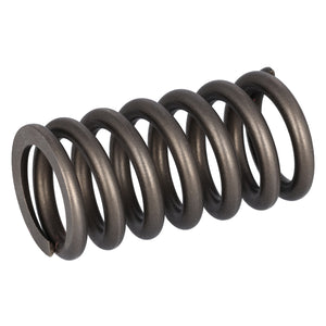 Valve Spring Fits Volvo Trucks FH FH4 OE 22527820 Febi 187756