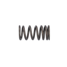 Load image into Gallery viewer, Valve Spring Fits DAF CF LF 55 Tatra XF XG OE 1821685 Febi 187757