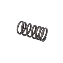Load image into Gallery viewer, Valve Spring Fits DAF CF LF 55 Tatra XF XG OE 1821685 Febi 187757