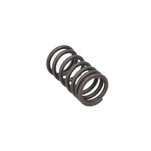 Load image into Gallery viewer, Valve Spring Fits DAF CF LF 55 Tatra XF XG OE 1821685 Febi 187757