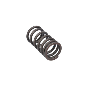 Valve Spring Fits DAF CF LF 55 Tatra XF XG OE 1821685 Febi 187757
