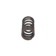 Load image into Gallery viewer, Valve Spring Fits DAF CF LF 55 Tatra XF XG OE 1821685 Febi 187757