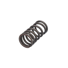 Load image into Gallery viewer, Valve Spring Fits DAF CF LF 55 Tatra XF XG OE 1821685 Febi 187757