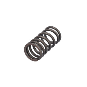 Valve Spring Fits DAF CF LF 55 Tatra XF XG OE 1821685 Febi 187757