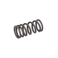 Load image into Gallery viewer, Valve Spring Fits DAF CF LF 55 Tatra XF XG OE 1821685 Febi 187757