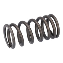 Load image into Gallery viewer, Valve Spring Fits DAF CF LF 55 Tatra XF XG OE 1821685 Febi 187757