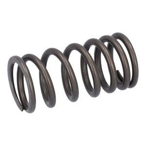 Valve Spring Fits DAF CF LF 55 Tatra XF XG OE 1821685 Febi 187757