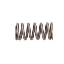 Load image into Gallery viewer, Valve Spring Fits Iveco Stralis Trakker OE 504110995 Febi 188163