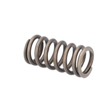 Load image into Gallery viewer, Valve Spring Fits Iveco Stralis Trakker OE 504110995 Febi 188163