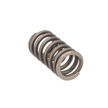 Load image into Gallery viewer, Valve Spring Fits Iveco Stralis Trakker OE 504110995 Febi 188163