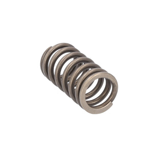 Valve Spring Fits Iveco Stralis Trakker OE 504110995 Febi 188163