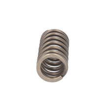 Load image into Gallery viewer, Valve Spring Fits Iveco Stralis Trakker OE 504110995 Febi 188163