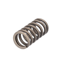 Load image into Gallery viewer, Valve Spring Fits Iveco Stralis Trakker OE 504110995 Febi 188163