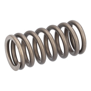 Valve Spring Fits Iveco Stralis Trakker OE 504110995 Febi 188163