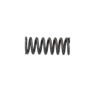 Valve Spring Fits DAF CF Ginaf LF XF XG Tatra OE 1819063 Febi 188164