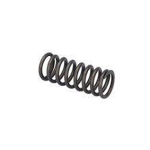 Load image into Gallery viewer, Valve Spring Fits DAF CF Ginaf LF XF XG Tatra OE 1819063 Febi 188164