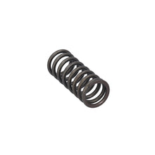 Load image into Gallery viewer, Valve Spring Fits DAF CF Ginaf LF XF XG Tatra OE 1819063 Febi 188164