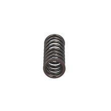 Load image into Gallery viewer, Valve Spring Fits DAF CF Ginaf LF XF XG Tatra OE 1819063 Febi 188164