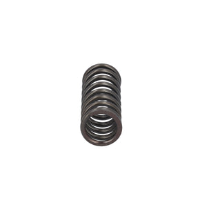 Valve Spring Fits DAF CF Ginaf LF XF XG Tatra OE 1819063 Febi 188164