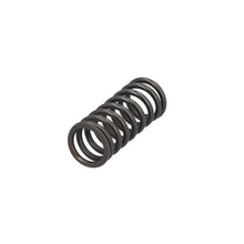 Load image into Gallery viewer, Valve Spring Fits DAF CF Ginaf LF XF XG Tatra OE 1819063 Febi 188164