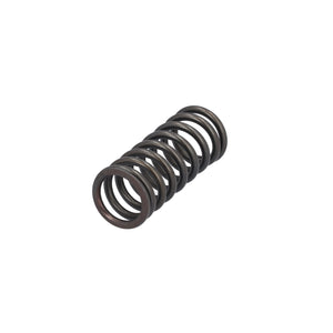 Valve Spring Fits DAF CF Ginaf LF XF XG Tatra OE 1819063 Febi 188164
