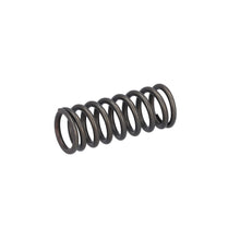 Load image into Gallery viewer, Valve Spring Fits DAF CF Ginaf LF XF XG Tatra OE 1819063 Febi 188164