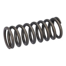 Load image into Gallery viewer, Valve Spring Fits DAF CF Ginaf LF XF XG Tatra OE 1819063 Febi 188164