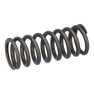 Valve Spring Fits DAF CF Ginaf LF XF XG Tatra OE 1819063 Febi 188164