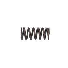 Load image into Gallery viewer, Valve Spring Fits MAN TGS TGX OE 51041020176 Febi 188166