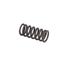 Load image into Gallery viewer, Valve Spring Fits MAN TGS TGX OE 51041020176 Febi 188166