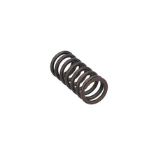 Load image into Gallery viewer, Valve Spring Fits MAN TGS TGX OE 51041020176 Febi 188166